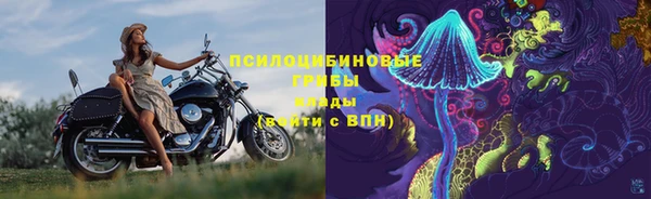 дурь Верхний Тагил