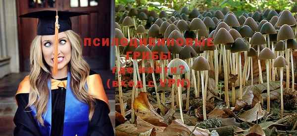ГАЛЛЮЦИНОГЕННЫЕ ГРИБЫ Верхнеуральск