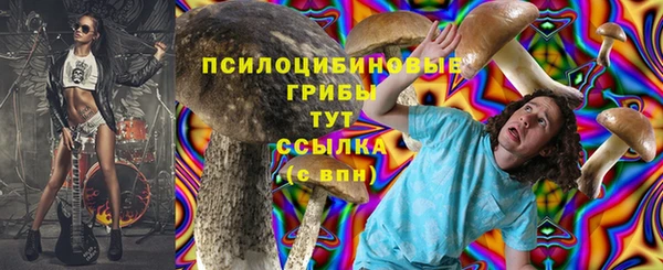 ГАЛЛЮЦИНОГЕННЫЕ ГРИБЫ Верхнеуральск
