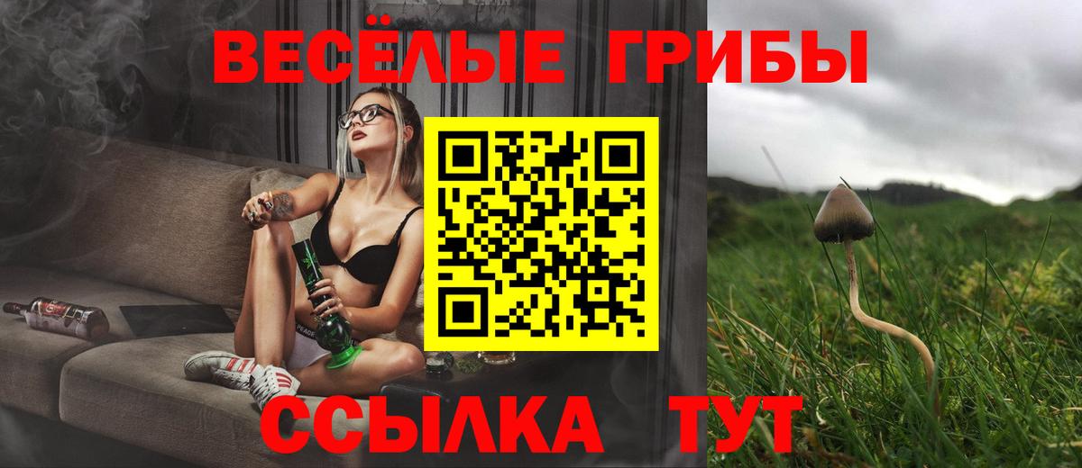 Галлюциногенные грибы прущие грибы Назарово